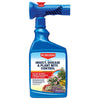 BioAdvanced 3-in-1 Insect, Disease & Plant Mite Control Ready-To-Spray II