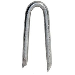 Fence Staples, Hot-Dipped Galvanized, 1-In., 50-Lbs.