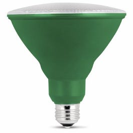 LED Light Bulb, Par38, Green, 8-Watt