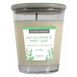 Essential Elements Jar Candle, Eucalyptus & Mint Leaf, 9-oz.
