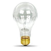 Feit Electric 3200 Lumen Incandescent A21