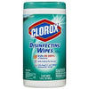 Disinfecting Wipes, 75-Ct.