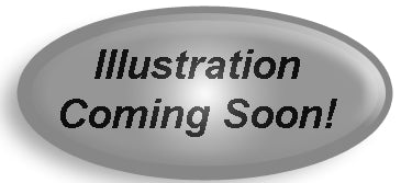 000 ROUND WHITE SOFT CUSHIONED